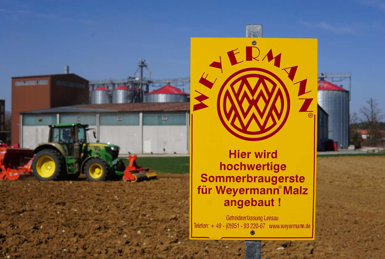 Weyermann_Standort-Leesau_Anbau-Sommerbraugerste_2021-04
