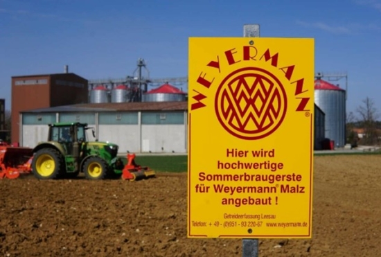 Bild1